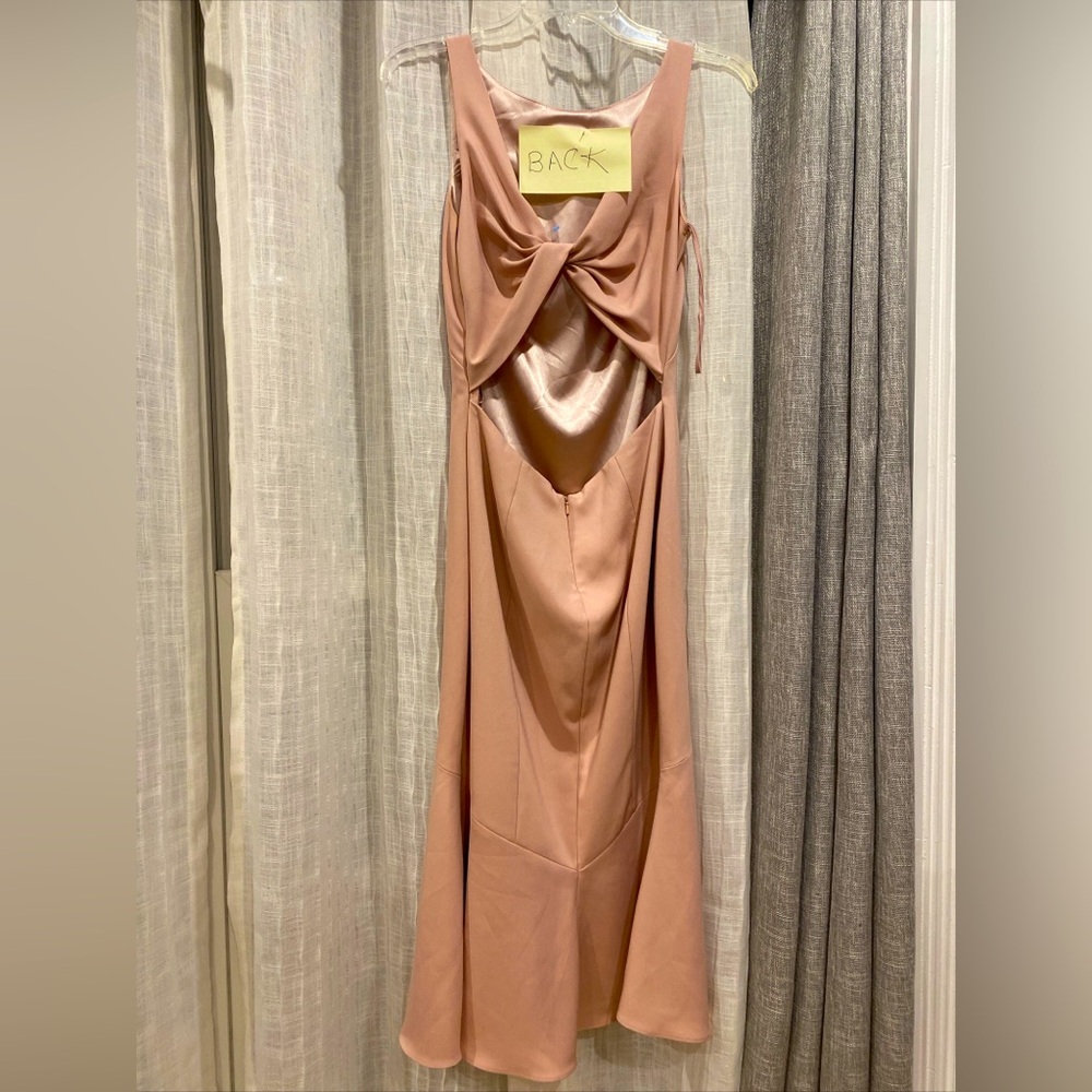 Theia Dress Size 2 Mermaid French Light Pink Trumpet Backless Stretch Formal